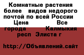 Комнатные растения более200видов недорого почтой по всей России › Цена ­ 100-500 - Все города  »    . Калмыкия респ.,Элиста г.